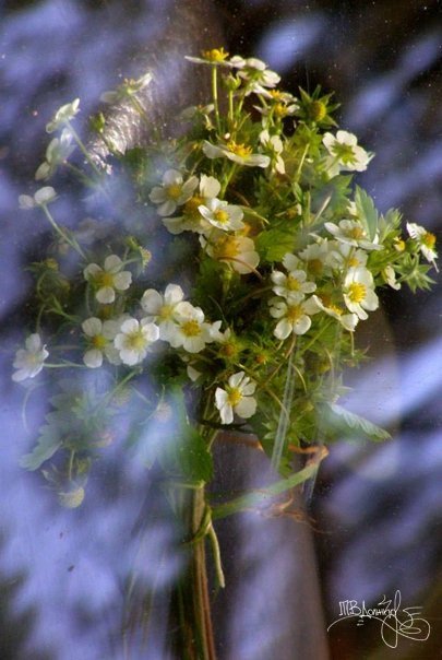 Фотовиставка Тетяни Должко